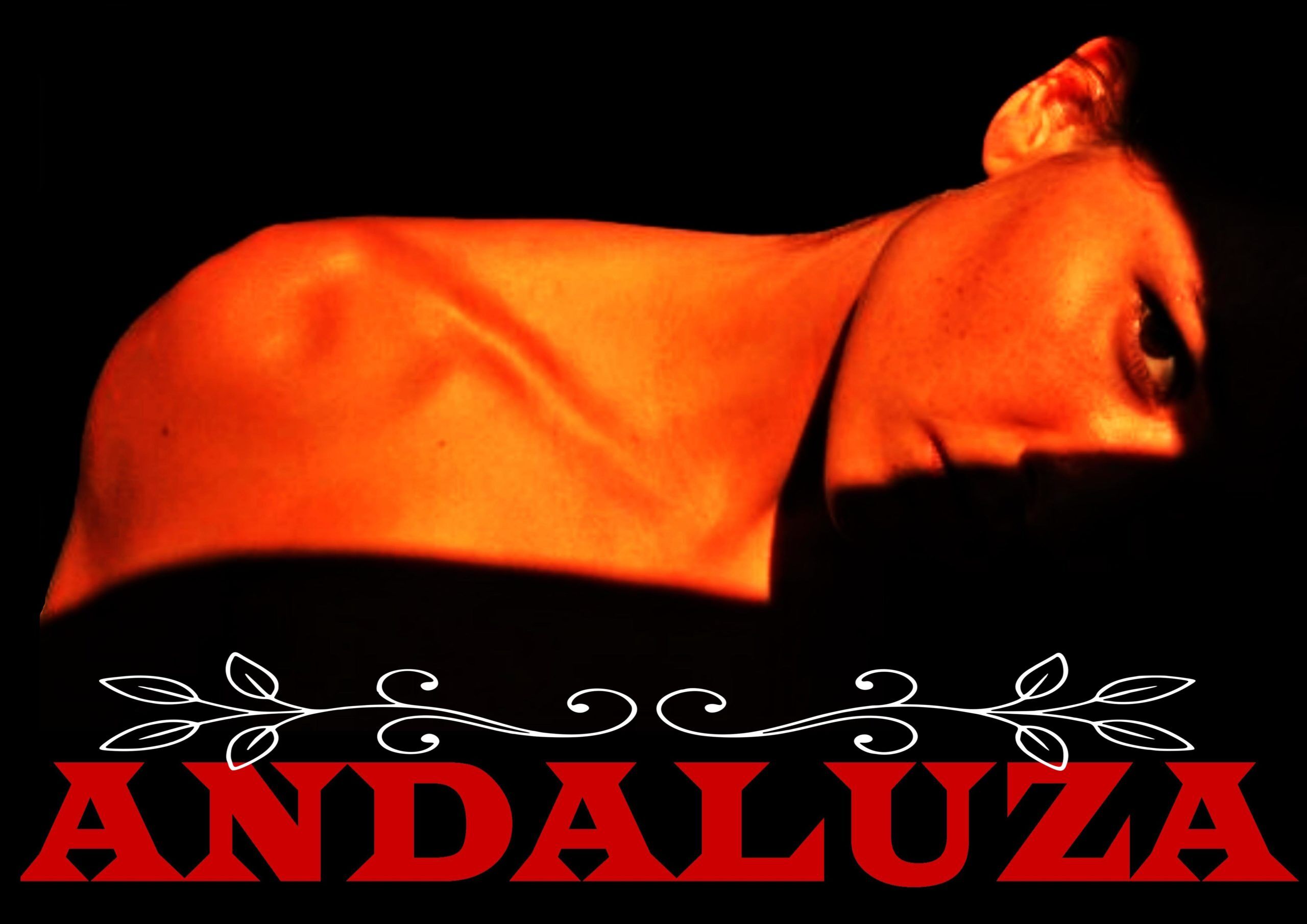 Programm 85 ANDALUZA POSTER H 3 internet scaled